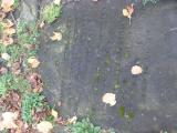 image of grave number 761652